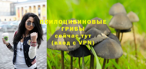 mdpv Апатиты
