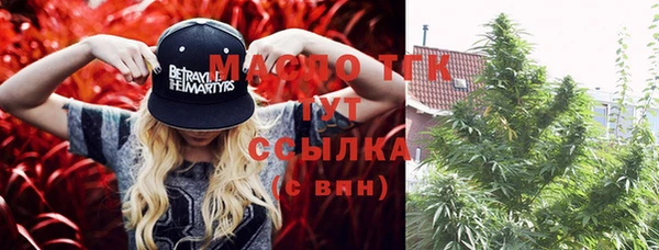 гидропоника Мегион