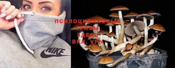 гидропоника Мегион