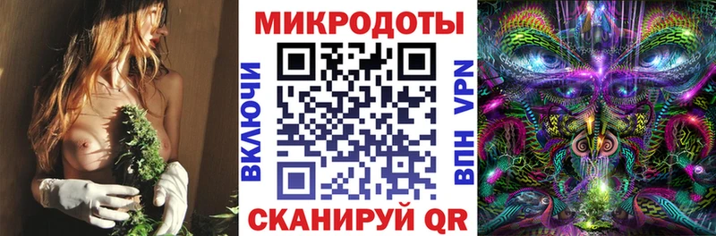 Галлюциногенные грибы Psilocybine cubensis  Южноуральск 