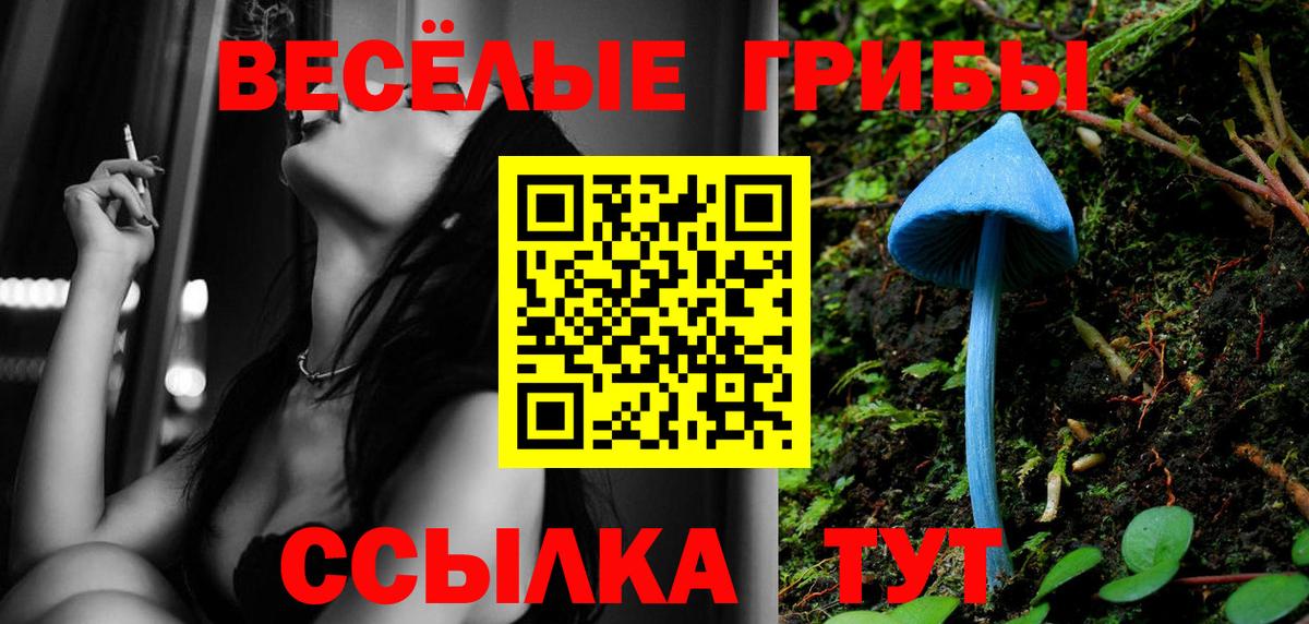 Псилоцибиновые грибы GOLDEN TEACHER  Галлюциногенные грибы Cubensis  Южноуральск  купить  сайты  Вход с VPN 