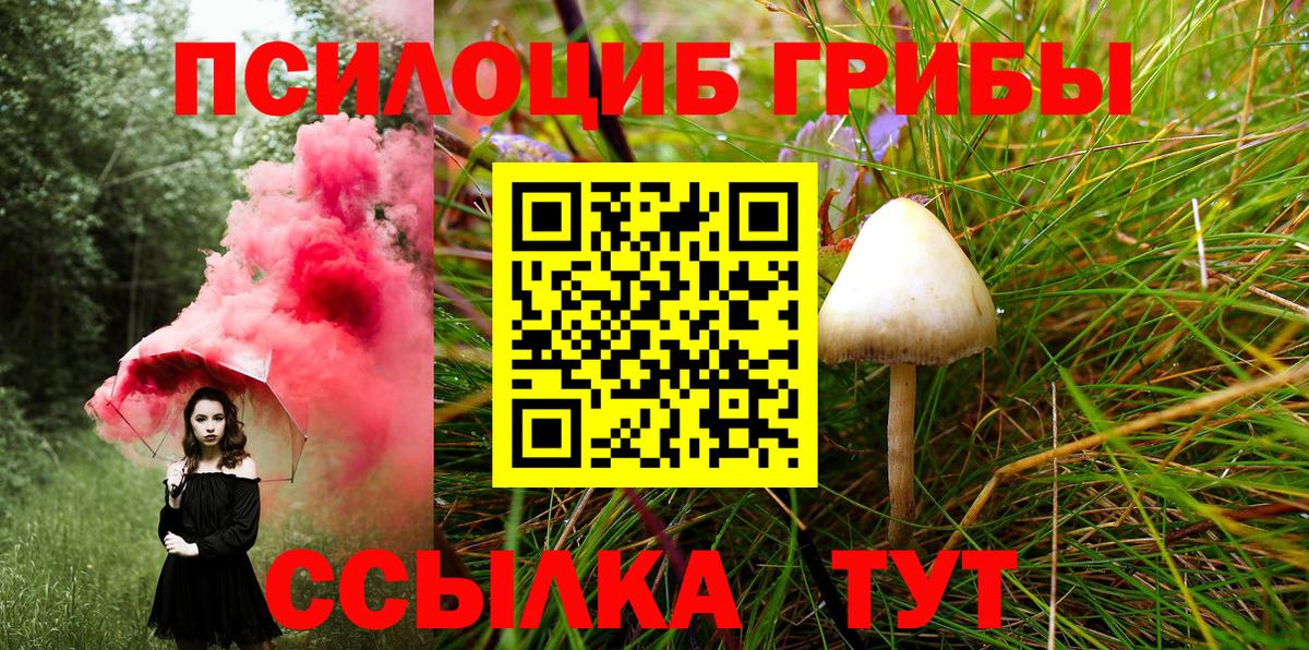 Псилоцибиновые грибы прущие грибы Южноуральск
